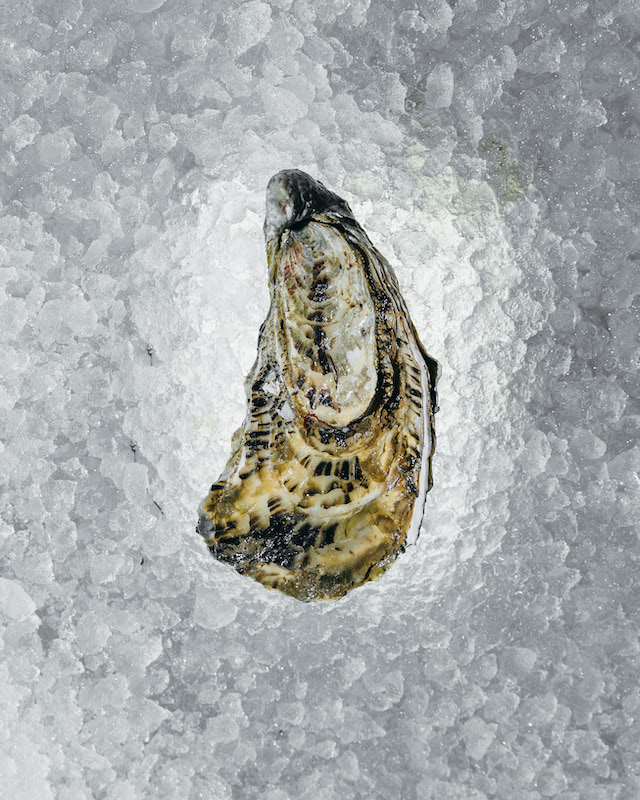 Esplanada Marisqueira Antiga